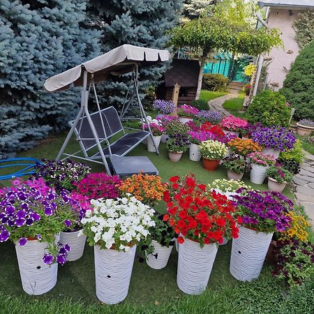 Апартаменты В Гостевом Домике Almaty Esterno foto